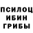 Псилоцибиновые грибы GOLDEN TEACHER Arina Rakhmanova