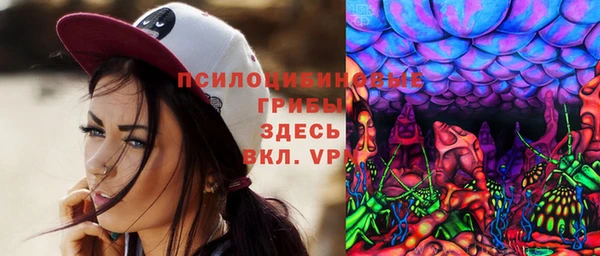 соль ск Алексин