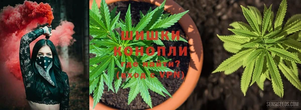 соль курить ск Алзамай